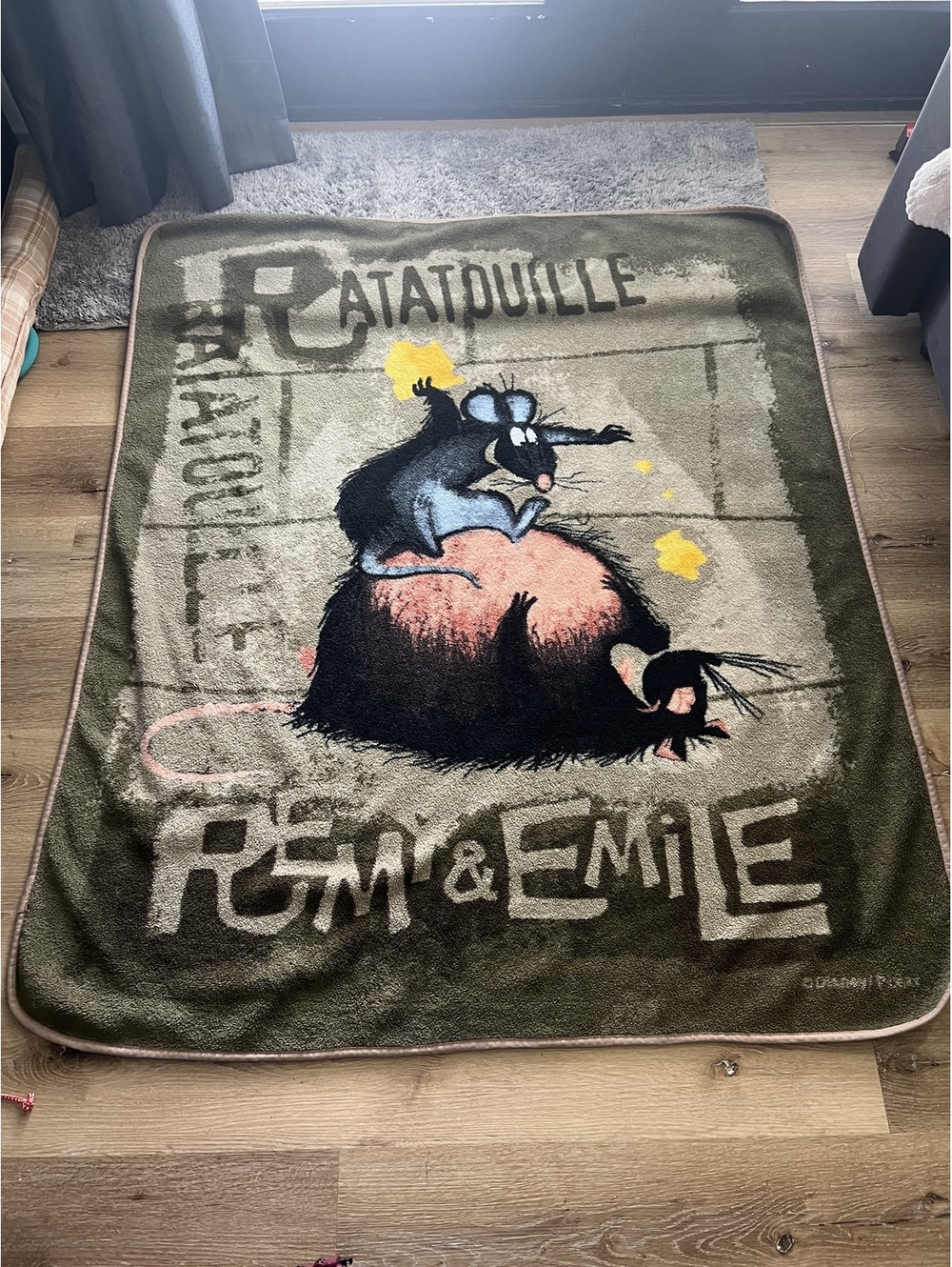 Disney Pixar Ratatouille Fleece Blanket Green 40x56 Inches